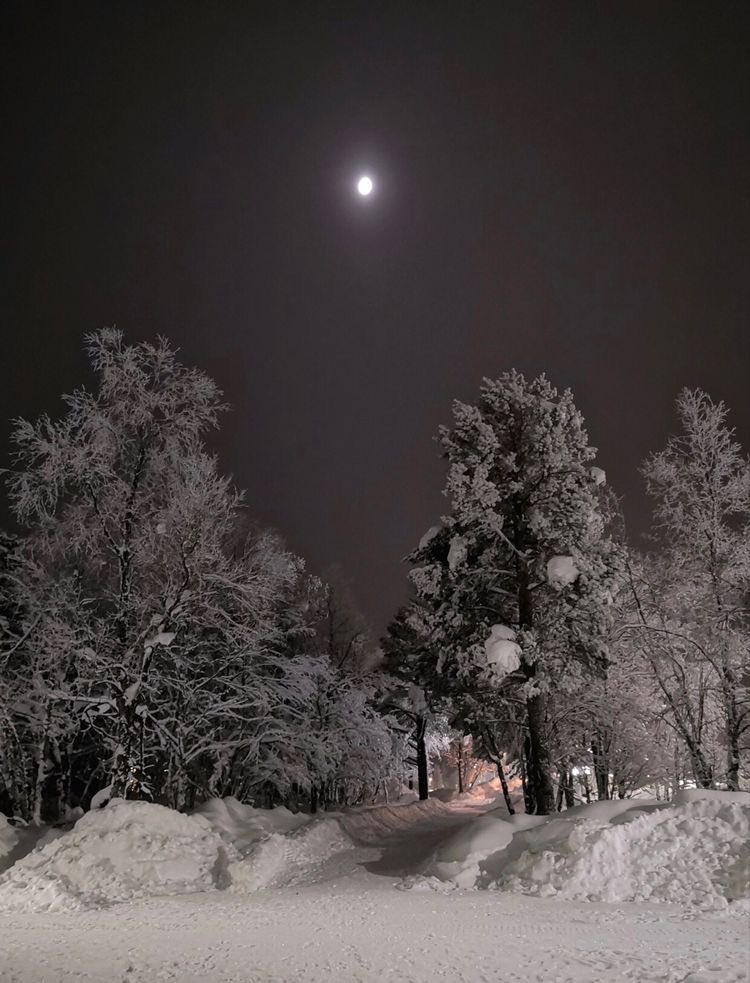 RobinStanfill2's tweet photo. I send you all peace🕊️

Goodnight ~
Till the morning light✨🌔🪐🖤🎶 https://t.co/n4WJ8rqBr3