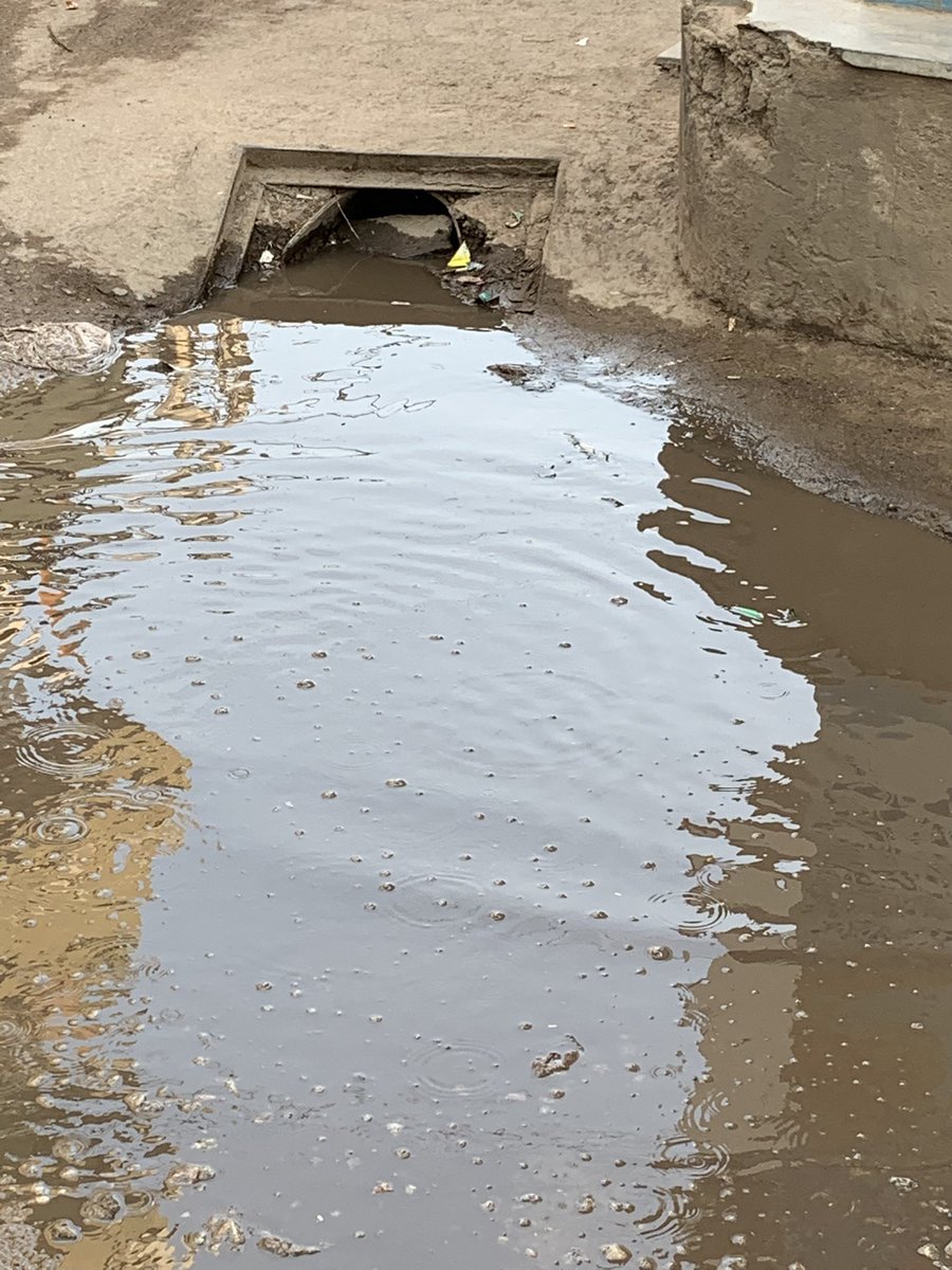 Sami Syed tweet media