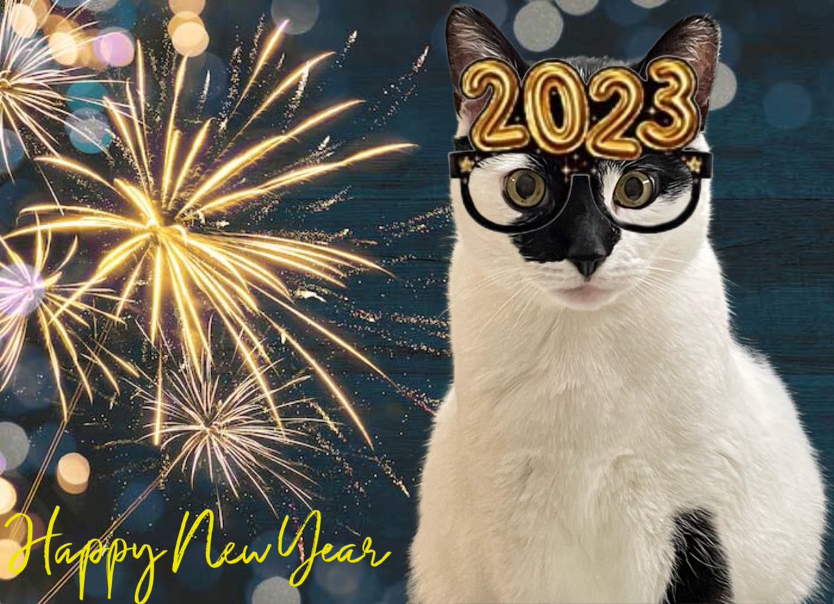 Happy new year! #NewYear #january #HappyNewYear #CatsOfTwitter #catsofinstagram pep_0315 #catsoftheworld #followhim #influencercat #catinfluencer #Influencer #goodbye2022 #HappyNewYear2023 #Welcome2023 #indianapolis