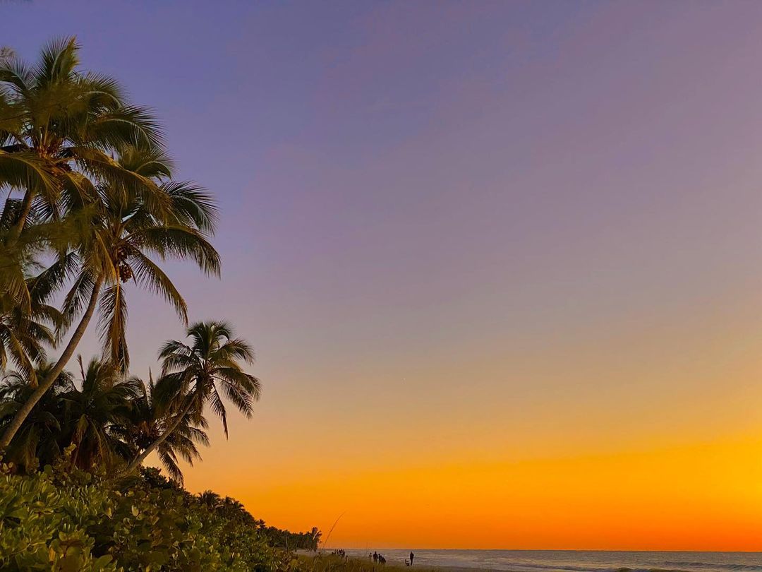 NaplesGrande's tweet photo. New year, same great sunset 😍 ☀️ 🌴

#ParadiseCoast #LifeIsGrande https://t.co/sB4txMtpd4