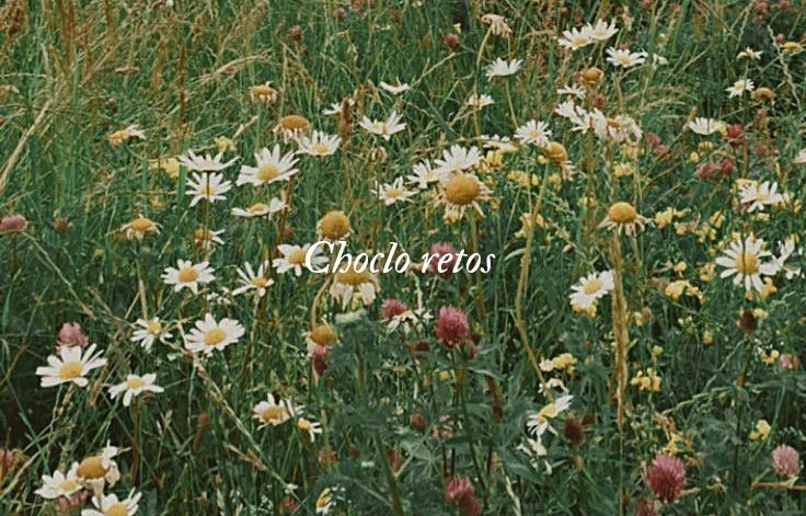 privateboluda's tweet photo. 🌾Choclo reto (s) 🌾
#chocloreto @chocIitas ♡ https://t.co/p7lEDS7cGc