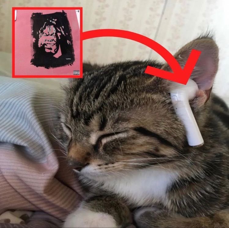 tize4PF's tweet image. 