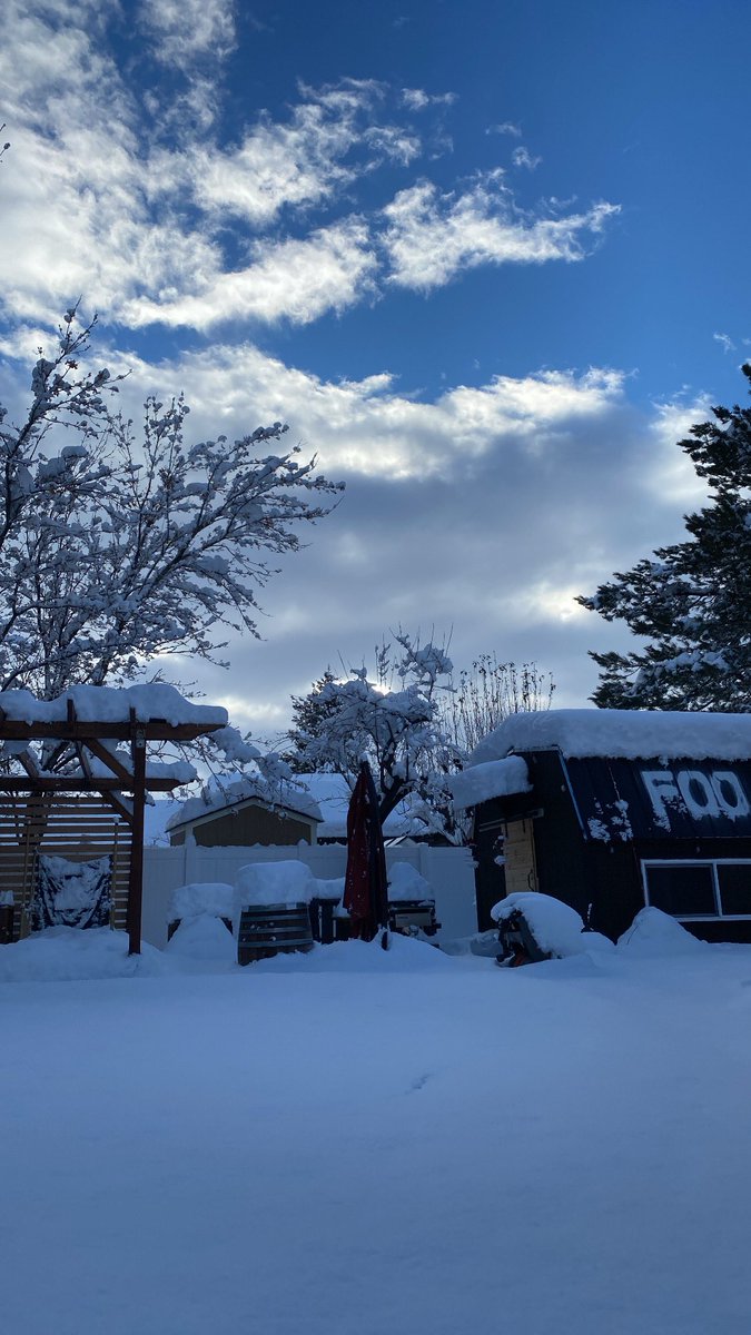 Wake up to 18” of fresh powder in the backyard #HappyNewYear