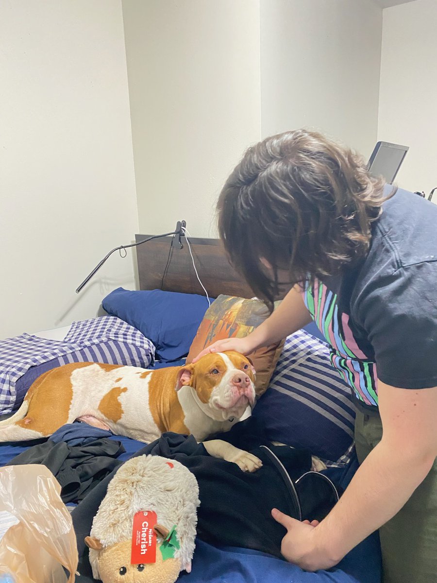 Say hi to Snooze! Shout-out to <a href="/ADLofTX/">Animal Defense League of Texas</a> for helping me give this guy a home