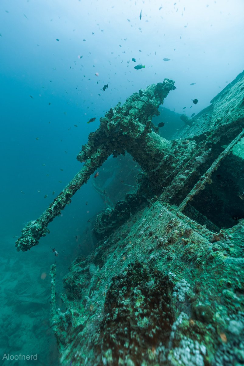 mainlymuseums's tweet photo. When Alicia says she likes to dive right in when she visits a museum she really means it. @aloof_nerd #diving #museums #shipwrecks

https://t.co/4a3YRraH9P https://t.co/E4bjCJEvWQ