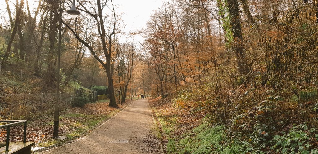 MarkusWuketich's tweet image. Neujahrsspaziergang. Novogodišnja šetnja. New Year's stroll. #Zagreb #Cmrok #DubravkinPut
