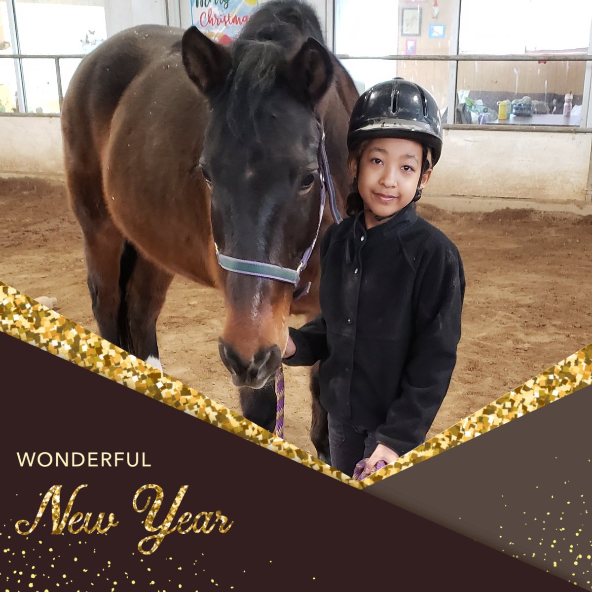 ArvadaEques's tweet photo. #HappyNewYear2023 #horse https://t.co/ynEoCx96ss