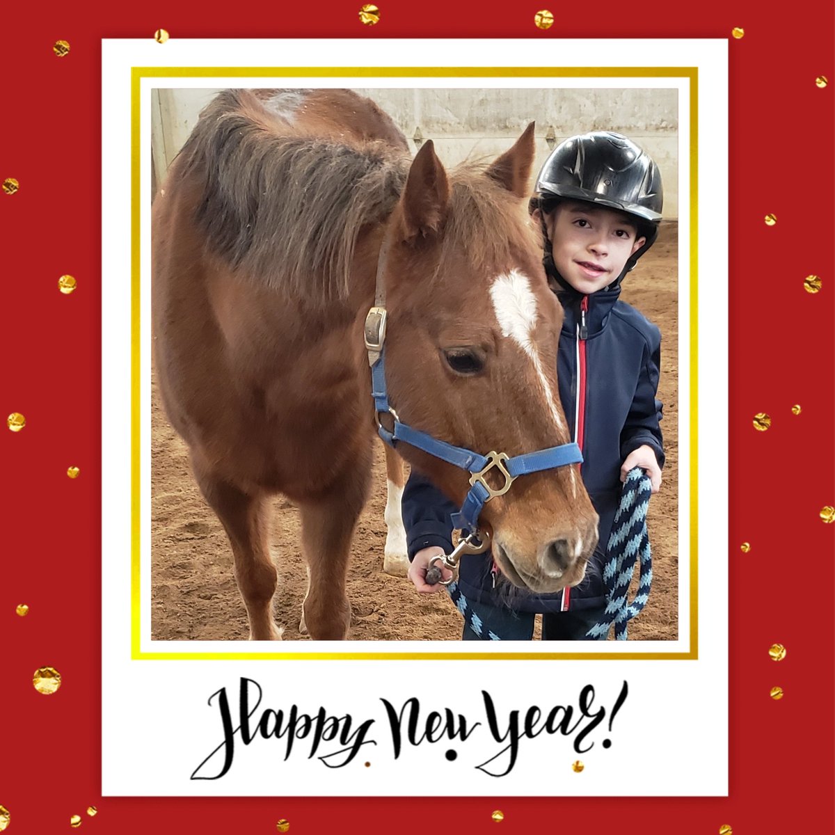 ArvadaEques's tweet photo. #HappyNewYear2023 #pony https://t.co/mR0MQR1oRn