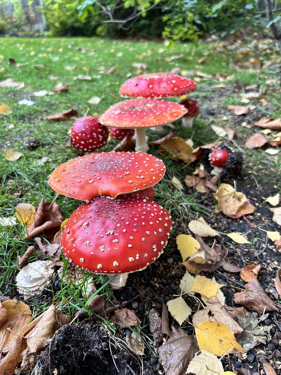 SimonHope15's tweet photo. @Monton70 We saw those too! https://t.co/3hG7XVvOJk