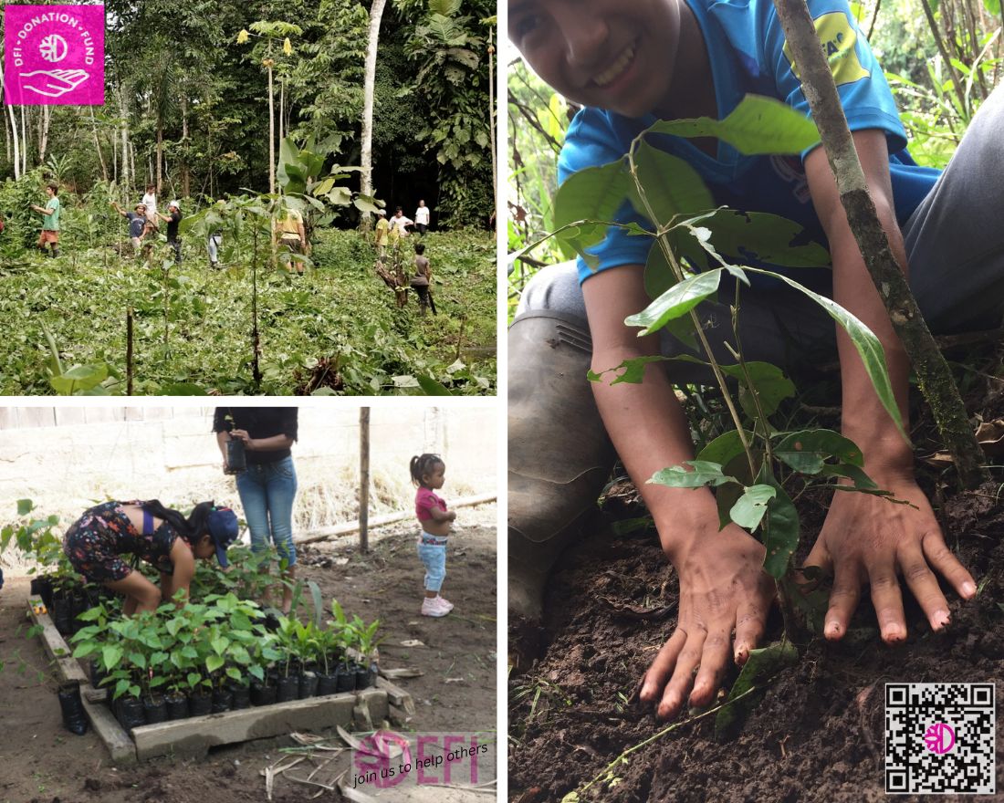 The new year starts with good news from Ecuador and the first pictures of the tree project. Happy new year 2023 🍀🎉

We´ll keep you informed
Regards
Jan