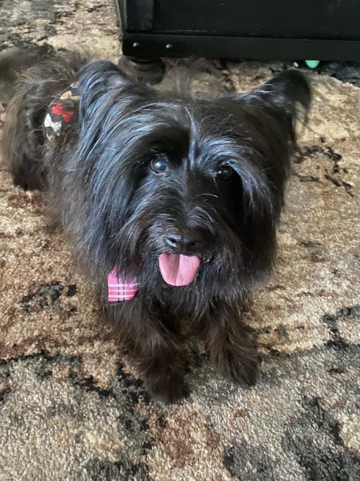 Hello, and thank you for the consideration! I’m Ken, a 6th grade teacher in CA. 

🍎 I teach at a title 1 school 6️⃣ year in education 💺 Need help with 🪑 flexible seating 🥨 snacks. #clearthelist #sjscash2021  #slabsnraw $krowe1985 

donorschoose.org/classroom/mr-r…