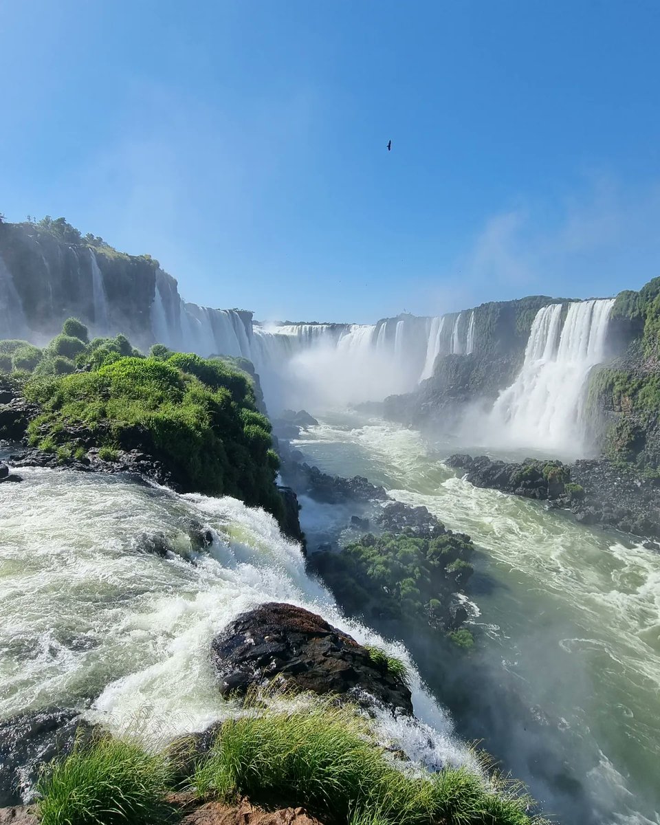 Ron Rutland 🇿🇦 tweet media