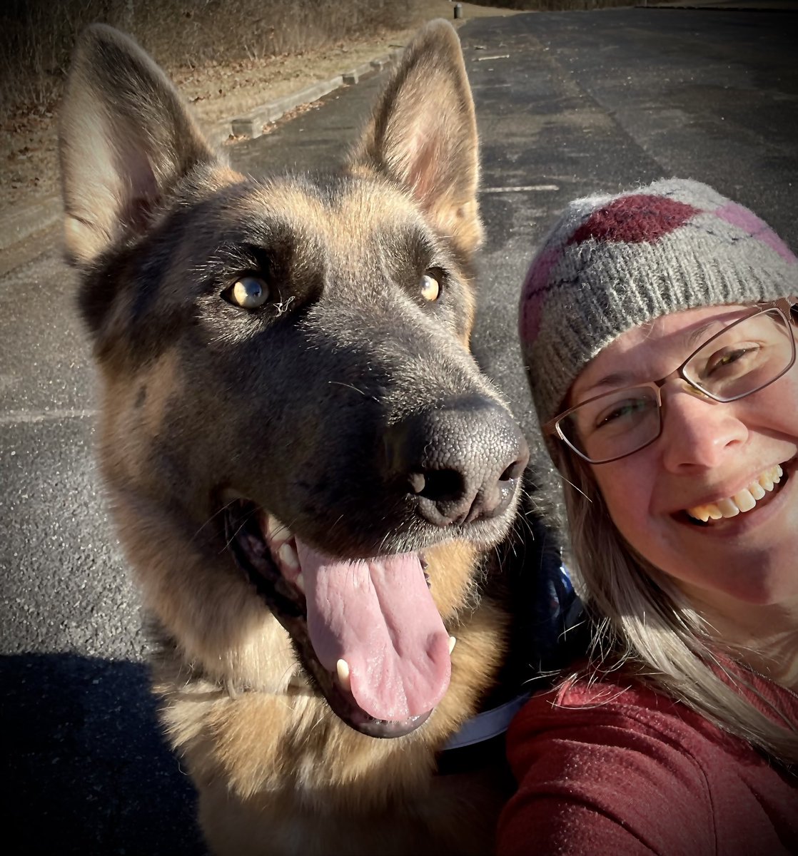 MrsWilksWorld's tweet photo. Just want to start 2023 by showing off my dog #Murphythegermanshepard #whatagoodboy https://t.co/AXoc41ZHH5
