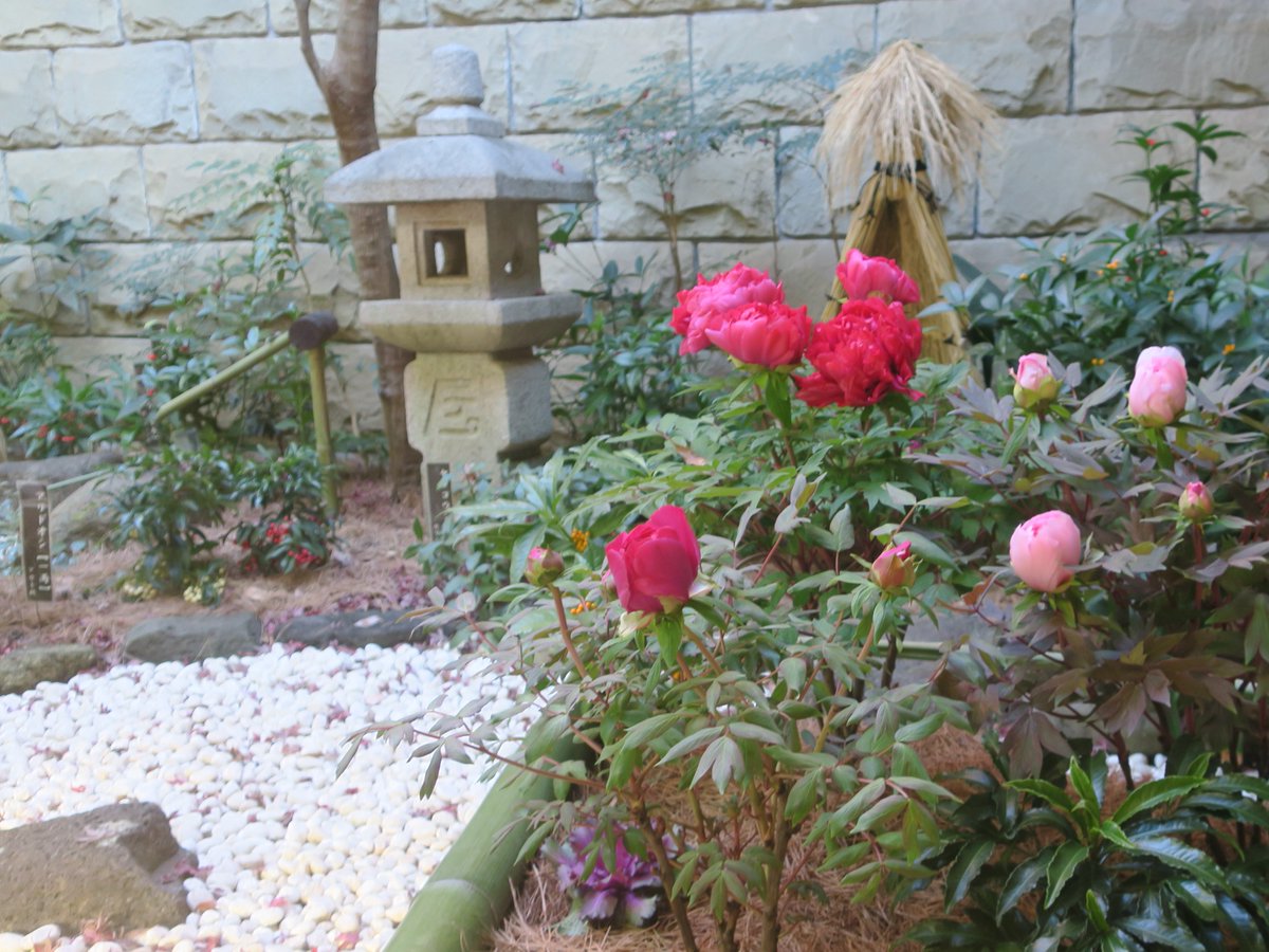 神代植物公園 ニュース Parksjindai Twitter 神代植物公園 ニュース Parksjindai Twitter