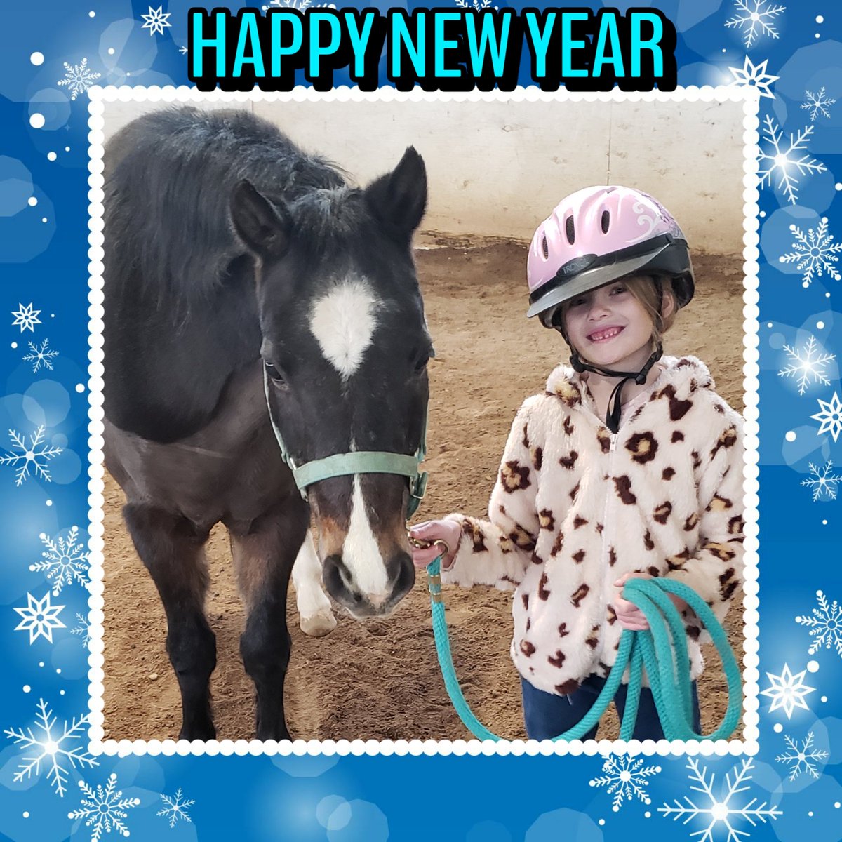 ArvadaEques's tweet photo. #HappyNewYear2023 #pony https://t.co/WH28bVUgD7