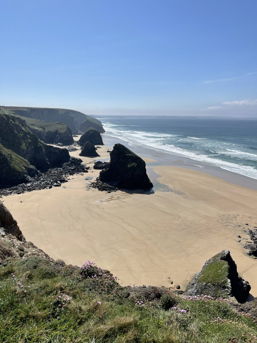 Graham Harris tweet media