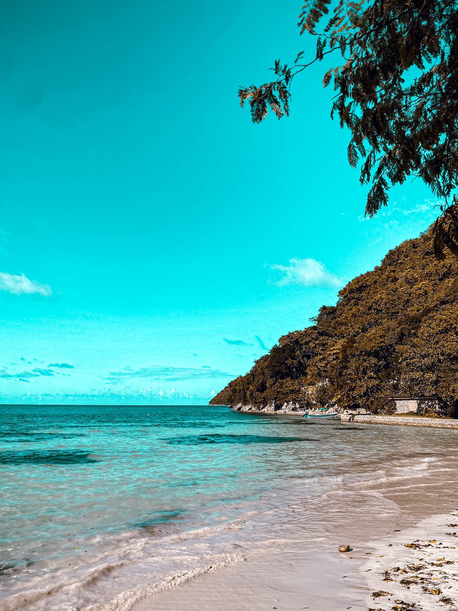 petitdesordre's tweet photo. 📍somewhere in Haiti 🇭🇹💚 https://t.co/xkh1ABHMEn
