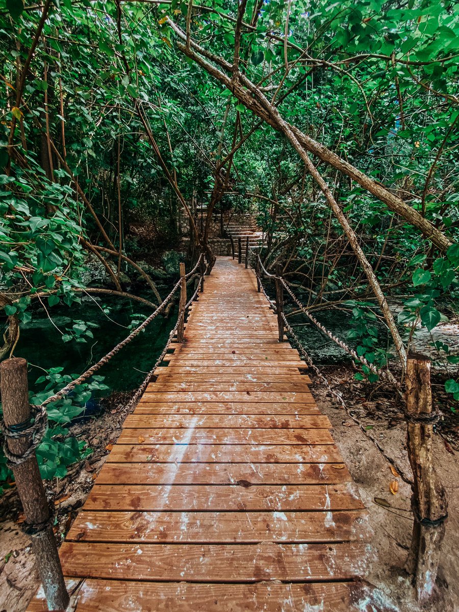 petitdesordre's tweet photo. 📍somewhere in Haiti 🇭🇹💚 https://t.co/xkh1ABHMEn