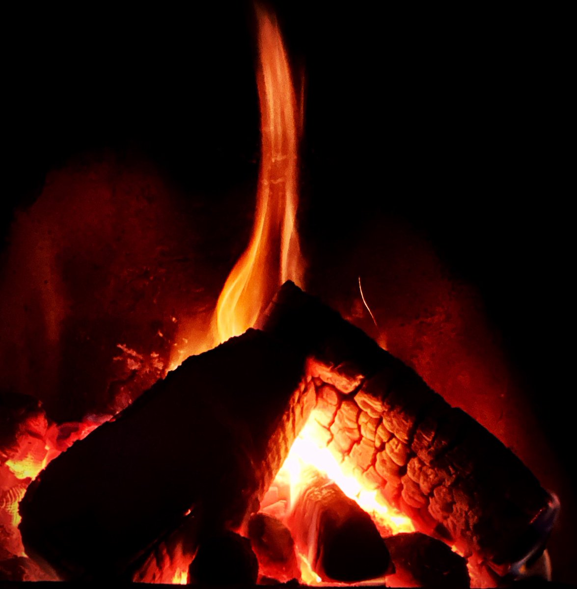 God's Own Yorkshire Rum tweet media