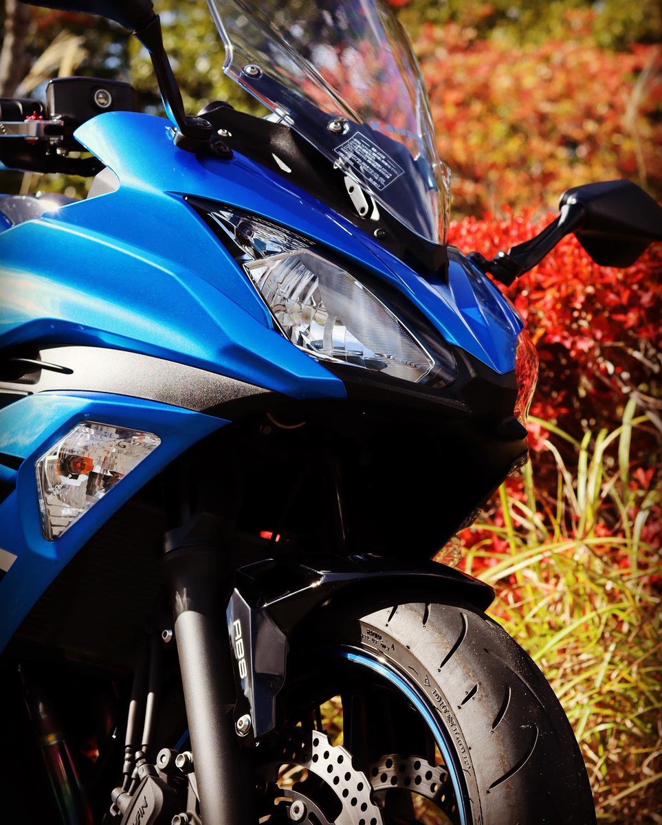 新年明けましておめでとうございます🎊🎍🎉
ますます素敵な一年となりますように✨‼️

今年も素敵な出会いを求めてツーリング計画中です✨
どうぞよろしくお願いします😊