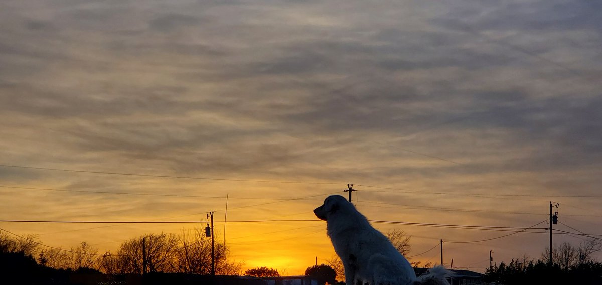 RipVanWizard's tweet photo. Just Now
First Sunset of 2023!
Thank You, Lord!
#SAFEMOON
#SAFEMOONARMY
#SAFEMOONGALAXY
#LIVEYOURDREAM
#GROVE
#BBTF
#CROGE
#CRYFT
#SwapTC
#MProtocol
#MetaMerceToken
#Vanity
#GLOW
#LCP
#RHYTHM
#IMRTL
#PAWTH
#FND
#MFX
#SHIDOFINANCE https://t.co/BfhtmNAHIB