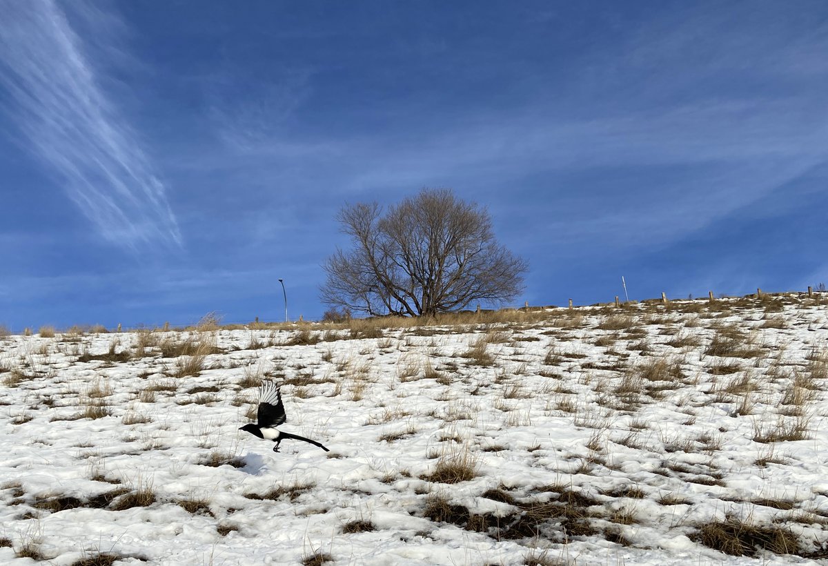 Holidays over; back to work - 2023❤️🕊️🌞🍁