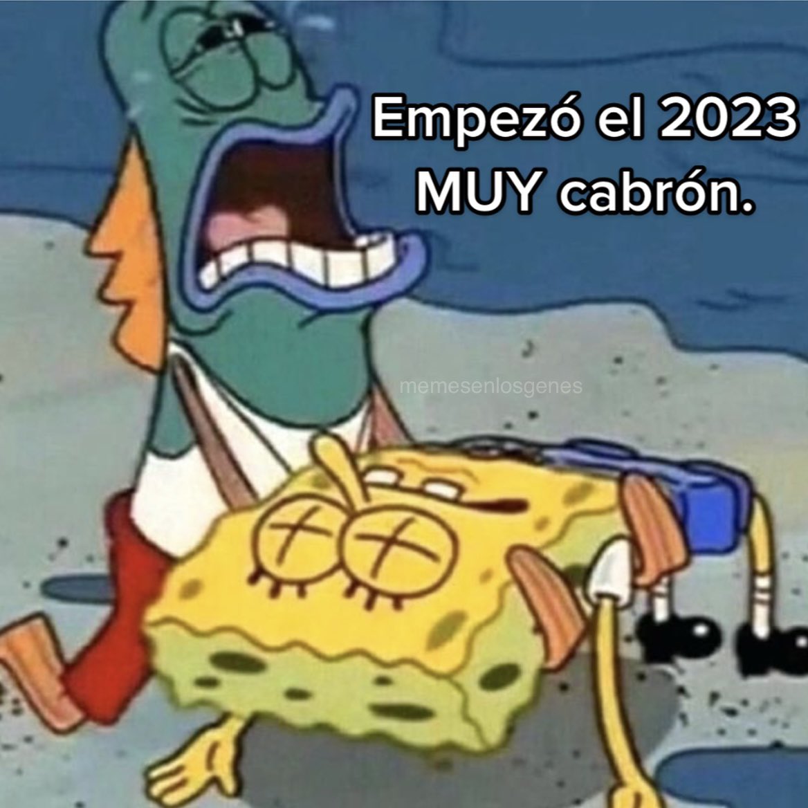 memesenlosgenes's tweet photo. https://t.co/OYOXX3hEJ7