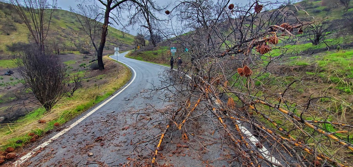 Exercise caution visiting the park during and after storms! Hazardous conditions like flooding, rockfalls, and tree falls like the several that have occurred in the last few days can persist even after storms subside.