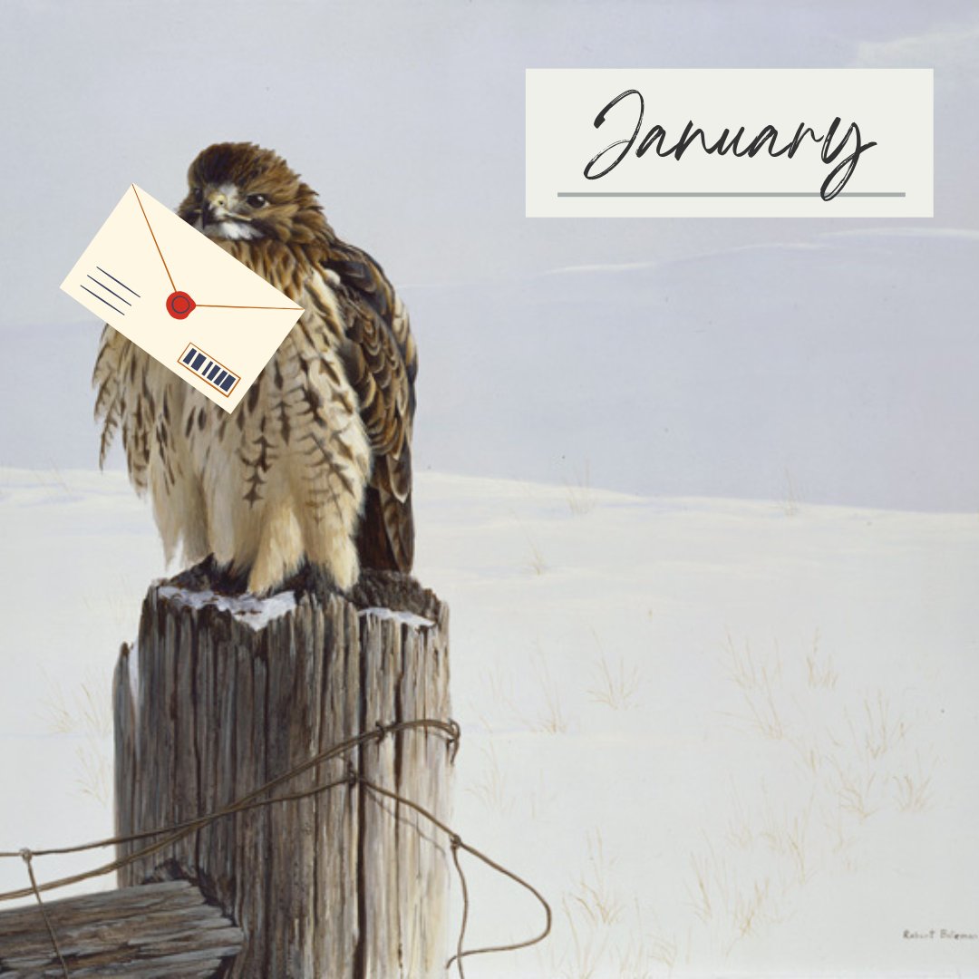 batemanfdn's tweet photo. Be sure to check your inbox today for our January newsletter! Learn about everything we have going on in the gallery to usher in the new year. 

Sign up today at https://t.co/AyTGhmb9bP

#BatemanFoundation #robertbateman #natureismagic #art #nature #artnews #naturenews https://t.co/0DxhEFn1KV