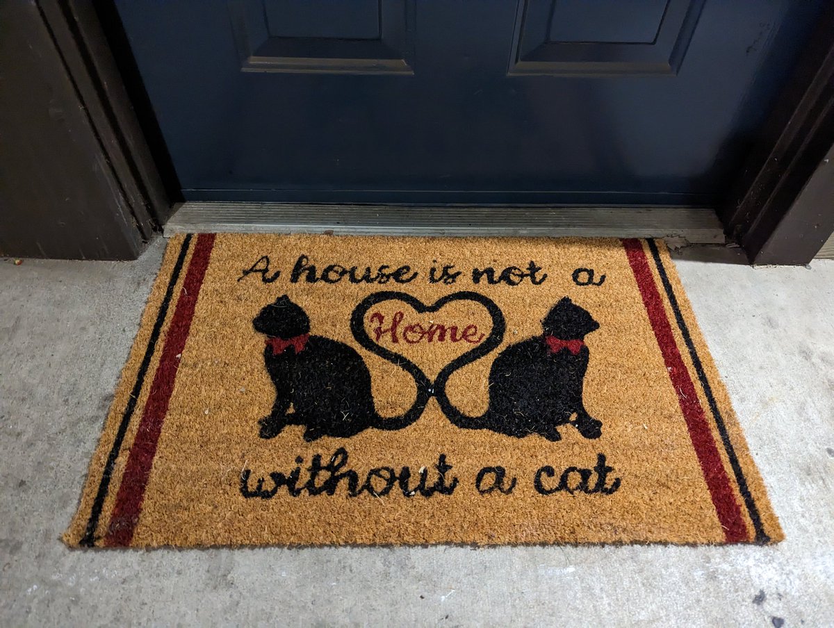 LadyMissCarly's tweet photo. @g3n3ric and my #FABULOUS new doormat for the new year. And how true it is! #CatsOfTexas #CatsOfAustin #CatsOfTravisCounty https://t.co/5FhECnLLLZ