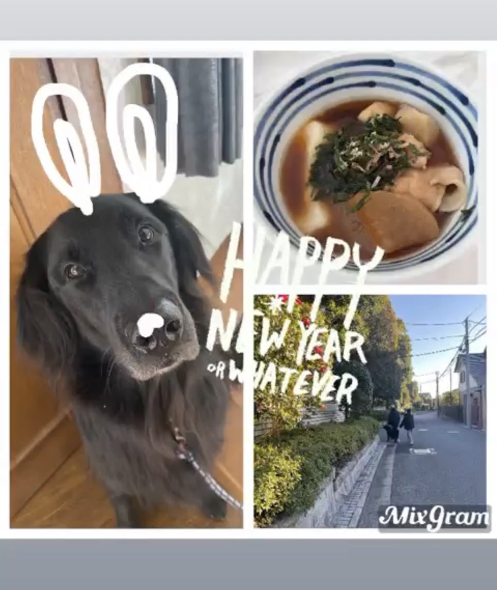 今年もよろしくお願いいたします。