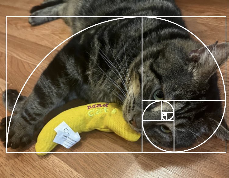 <a href="/mrfishtopher/">Fishtopher and Friends</a>