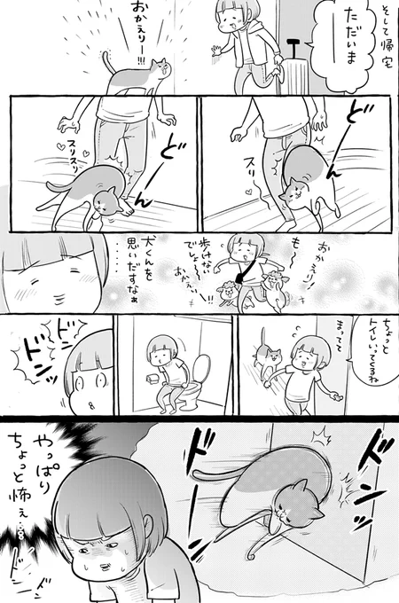 明るさが周回して怖みをかもすガーラさん② 
