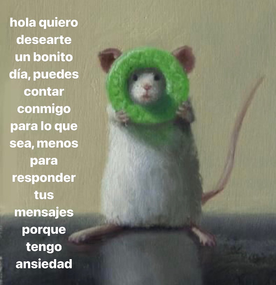 conoloracigarro's tweet photo. bonito 2023 https://t.co/5yieS4paxp