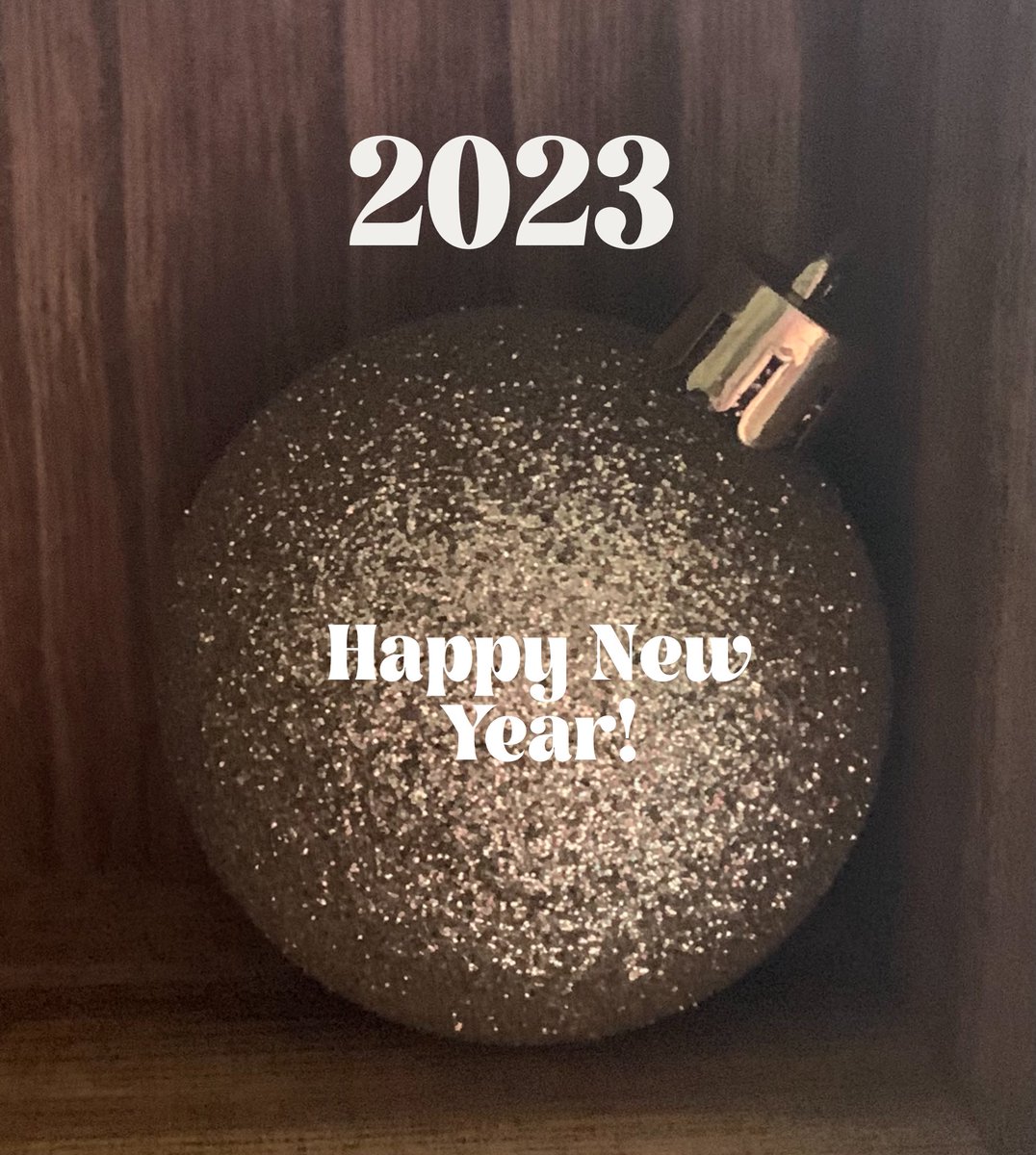 MsBookNerd23's tweet photo. Happy New Year!  #newyear #2023NewYear https://t.co/7RooyCB5YX