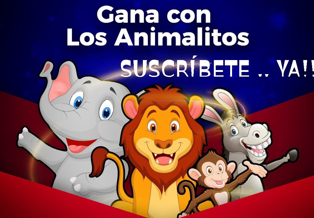 elreydelosdatos's tweet photo. Suscribete Ya...!!!

Empieza el año ganando diario...
 Parley , animalitos.... 

#datos #parley #tendecias #elreydeldato #lotto #ganafacilu #rompebancas #yastaa #animalitos https://t.co/zZ4XKVoOwZ
