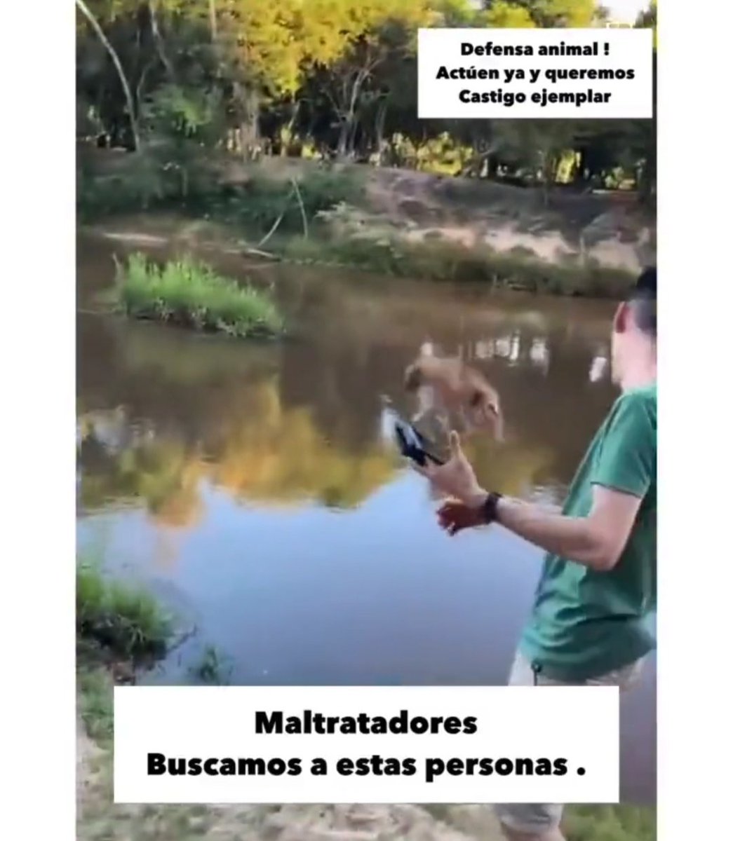 RT♥️
¡Se busca a éste peligro para la sociedad, maltratador! 
<a href="/MinPublicoPy/">Fiscalía Paraguay</a> ¡¡actúen!! <a href="/defensanimalpy/">Dirección Nacional de Defensa Animal</a> <a href="/TereAlvarezRami/">Tere Alvarez</a> ¡¡actúen!!