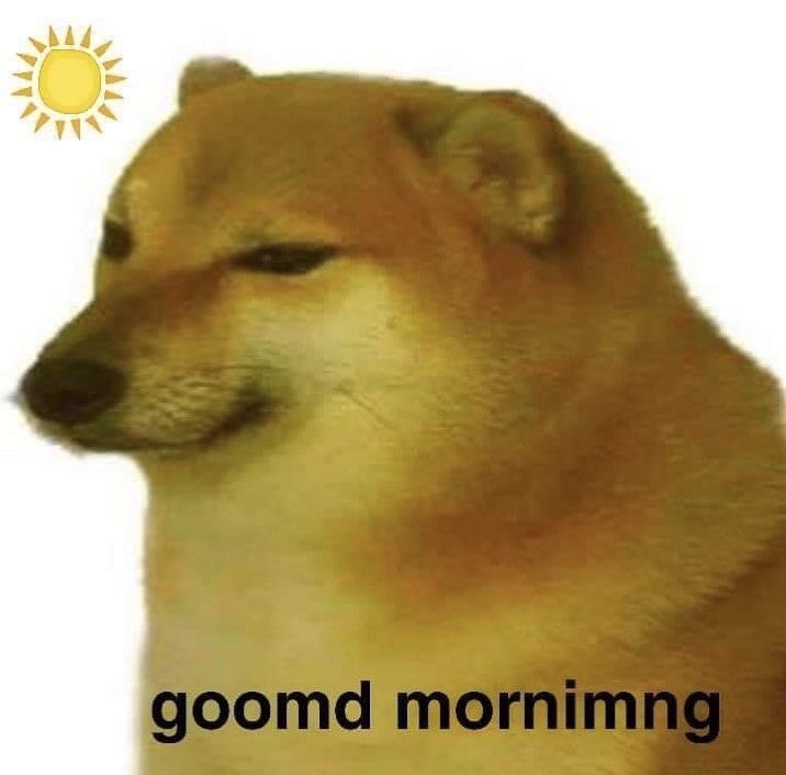 morning moots! semangatt semua🤩🤝
