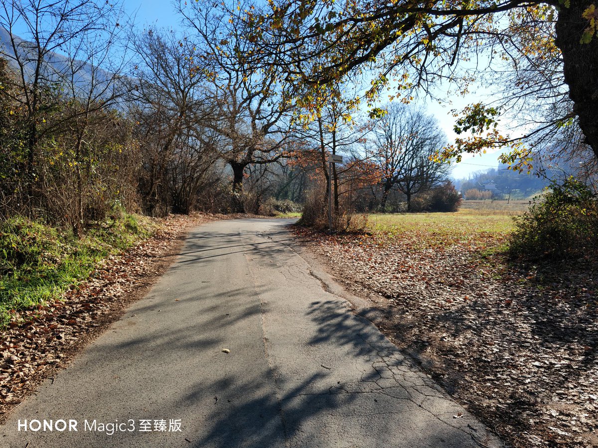 fabrizio_degni's tweet photo. A couple of pictures captured with Honor Magic 3 Pro+, definitely the quality is a step up with MsgicOS 7.
#HONORMagic3 #honor #magicos7 #nature #wildlifephotography #smartphones https://t.co/76JcVEOlVU