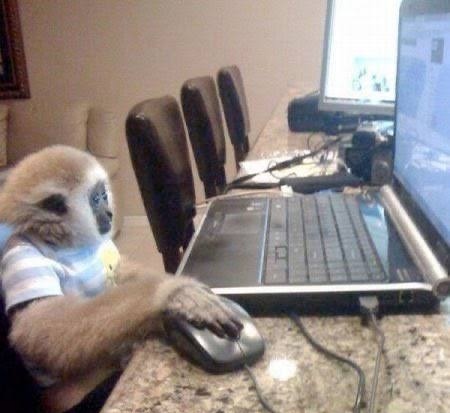 Criptomemex.eth 🧙🏻‍♂️ tweet media