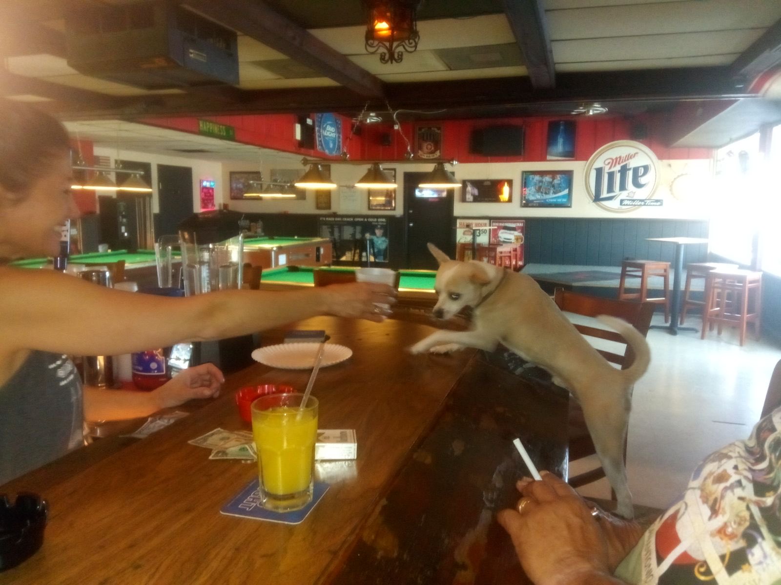 James Jabba on Twitter: “@esherifftv Did my 30 min on the treadmill