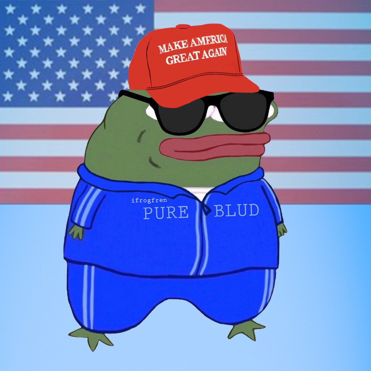 ifrogfren 🐸 on Twitter "Mi iz a Pureblud American Froggo! 🇺🇸🐸"