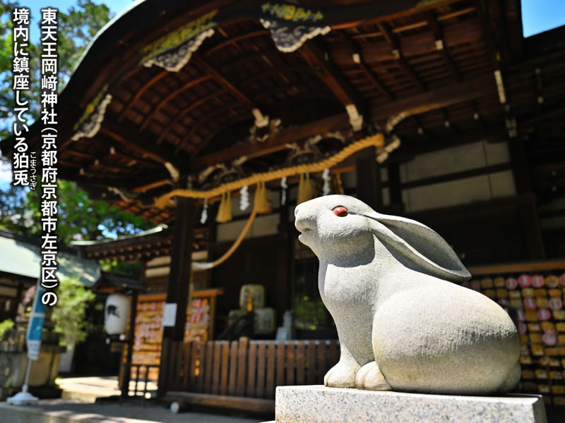 🐰今年もヨロシクお願いします🐰

開運神社「うさぎ神社」🐰うさぎは争いを好まない穏やかな性格で跳躍力があるため、干支では「平安」「安全」「飛躍」の象徴✨人気の動物🐰
♡今年も平和なうさぎちゃんのように✨穏やかな出会いがありますよーに♡
 #婚活 #結婚相談所  #恋愛運  #あけおめ