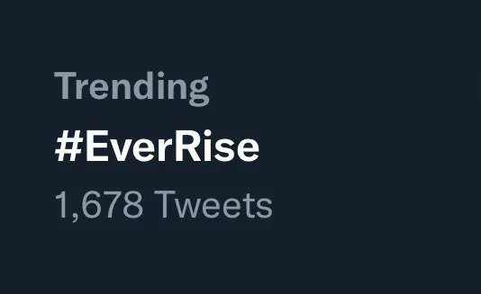 EverRise tweet picture