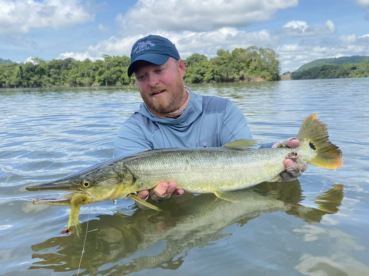 The Fly Shop tweet media