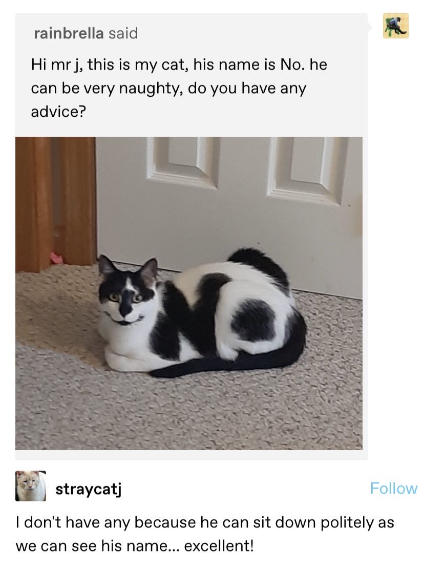 Track7Grrl tweet media