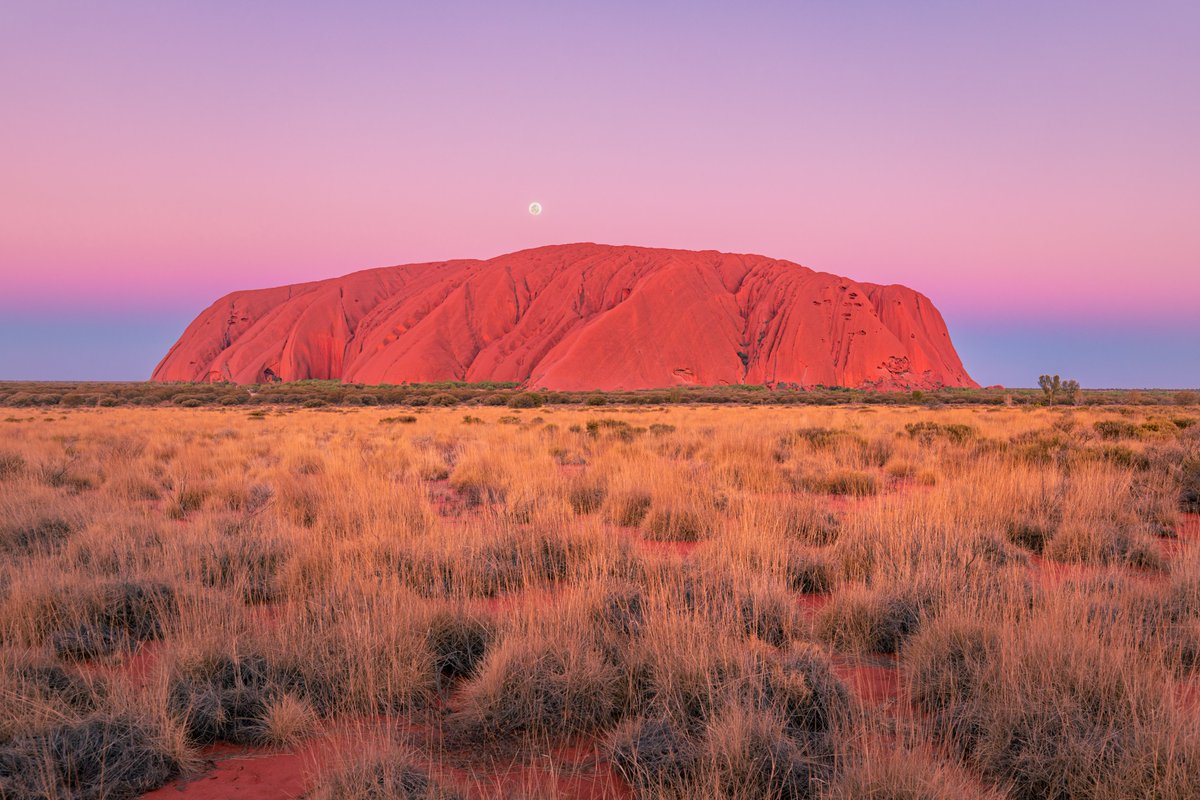 1/7 Super excited to have Uluru Moonrise sell to the legend <a href="/MeLlamoMatt/">MeLlamoMattᵍᵐ</a> within 8 hours of minting it into my new Intrepid Outback contract.  Few in this space have done as much for artists as Matt; it's an honour to finally have a 1/1 in his esteemed collection.