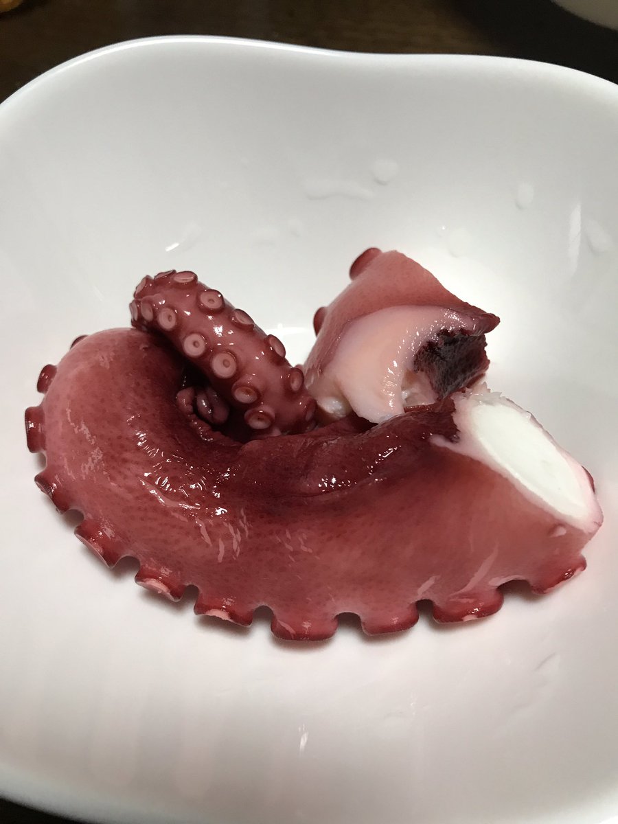Udq1Y's tweet photo. 酢蛸愛してる https://t.co/yMNqKM2FLl