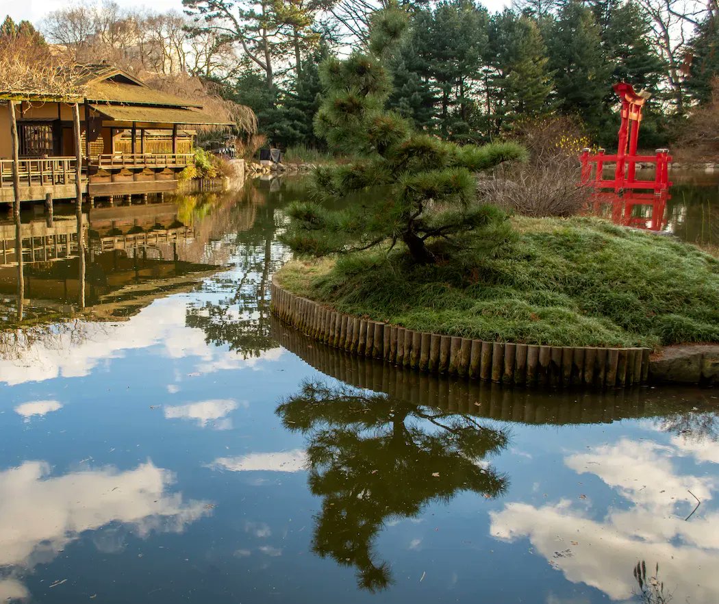 Welcome the #NewYear with an invigorating walk through the Garden. 🌿 BBG's daytime hours (10 a.m.–3:30 p.m.) resume on Tuesday, January 3, and daytime admission remains pay-as-you-wish through January 15.