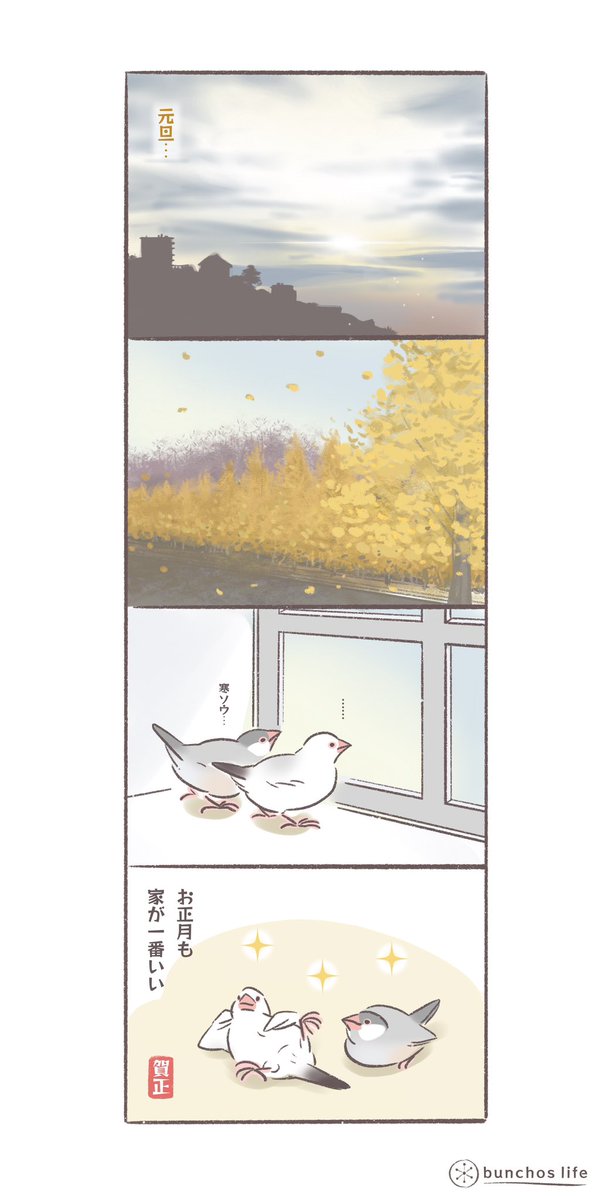 お正月も暖かくて家が一番いい
#文鳥 
#bunchoslife 
#4コマ漫画 